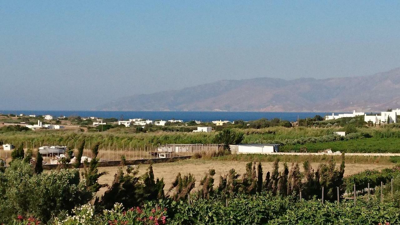 Villa Kampos Naousa-Marpisa อัมเบลาส ภายนอก รูปภาพ