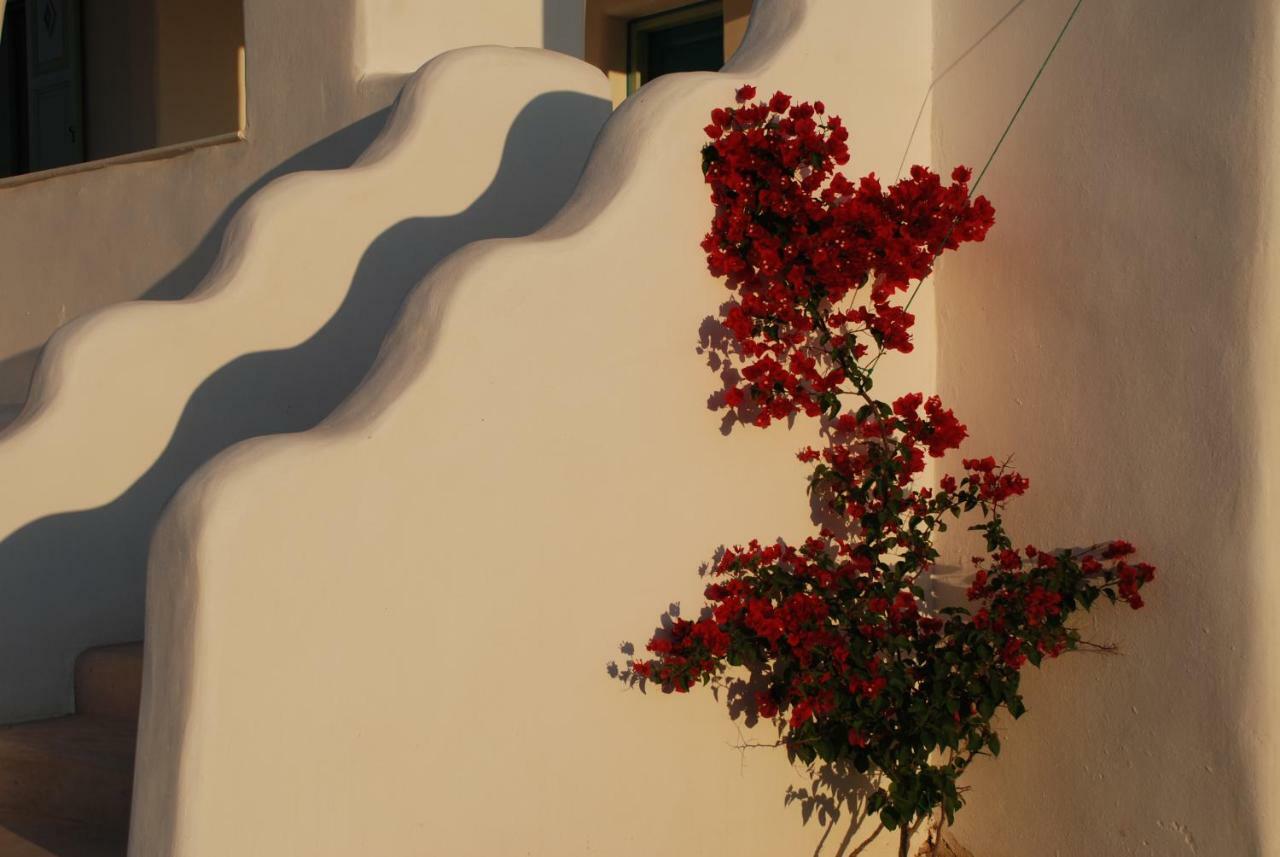 Villa Kampos Naousa-Marpisa อัมเบลาส ภายนอก รูปภาพ