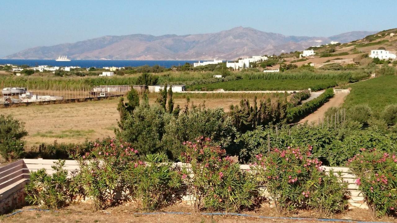 Villa Kampos Naousa-Marpisa อัมเบลาส ภายนอก รูปภาพ