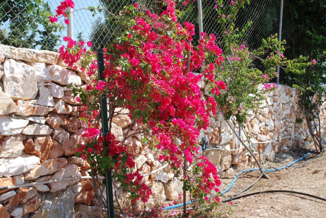Villa Kampos Naousa-Marpisa อัมเบลาส ภายนอก รูปภาพ
